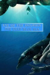 Eye of the Dolphin [Eye of the Dolphin Collection] Serisi izle